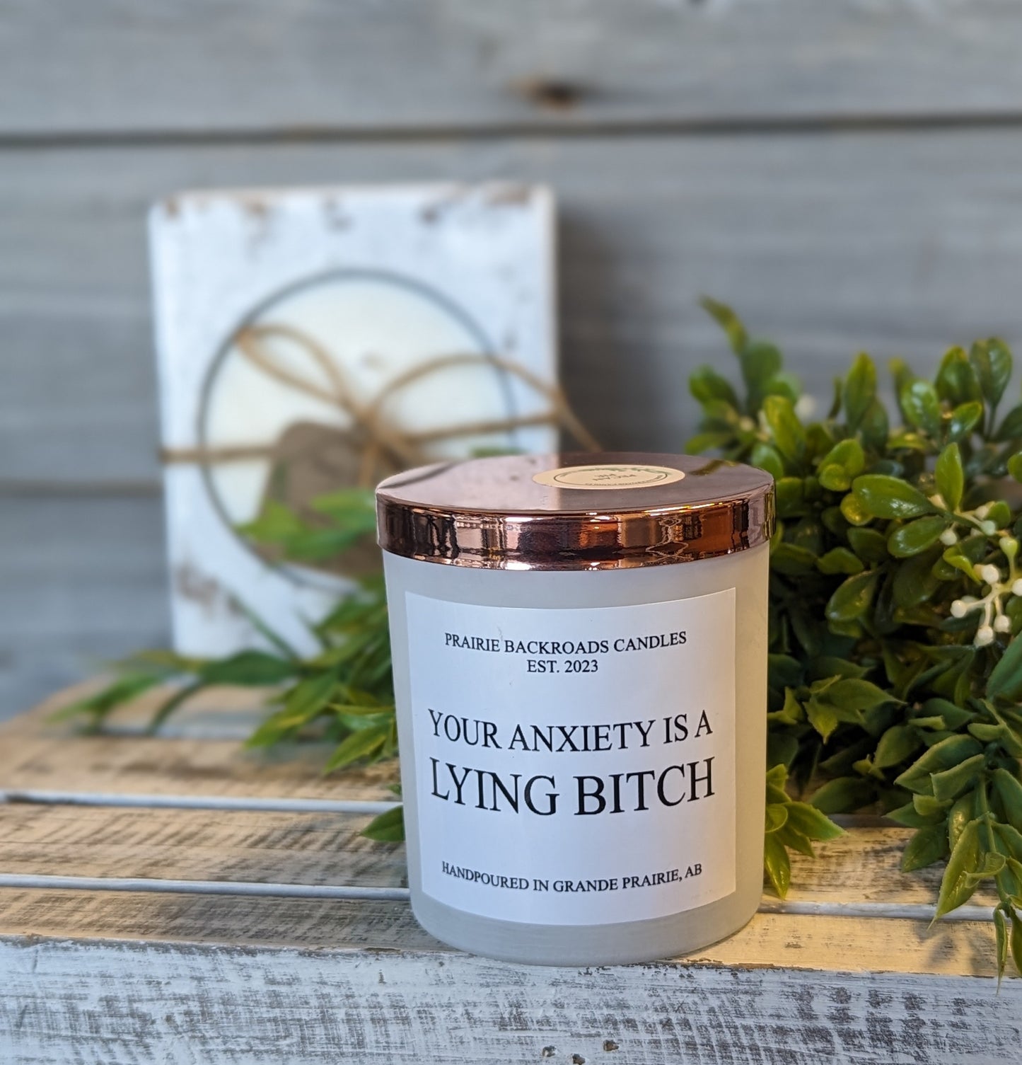 Your Anxiety is a Lying Bitch